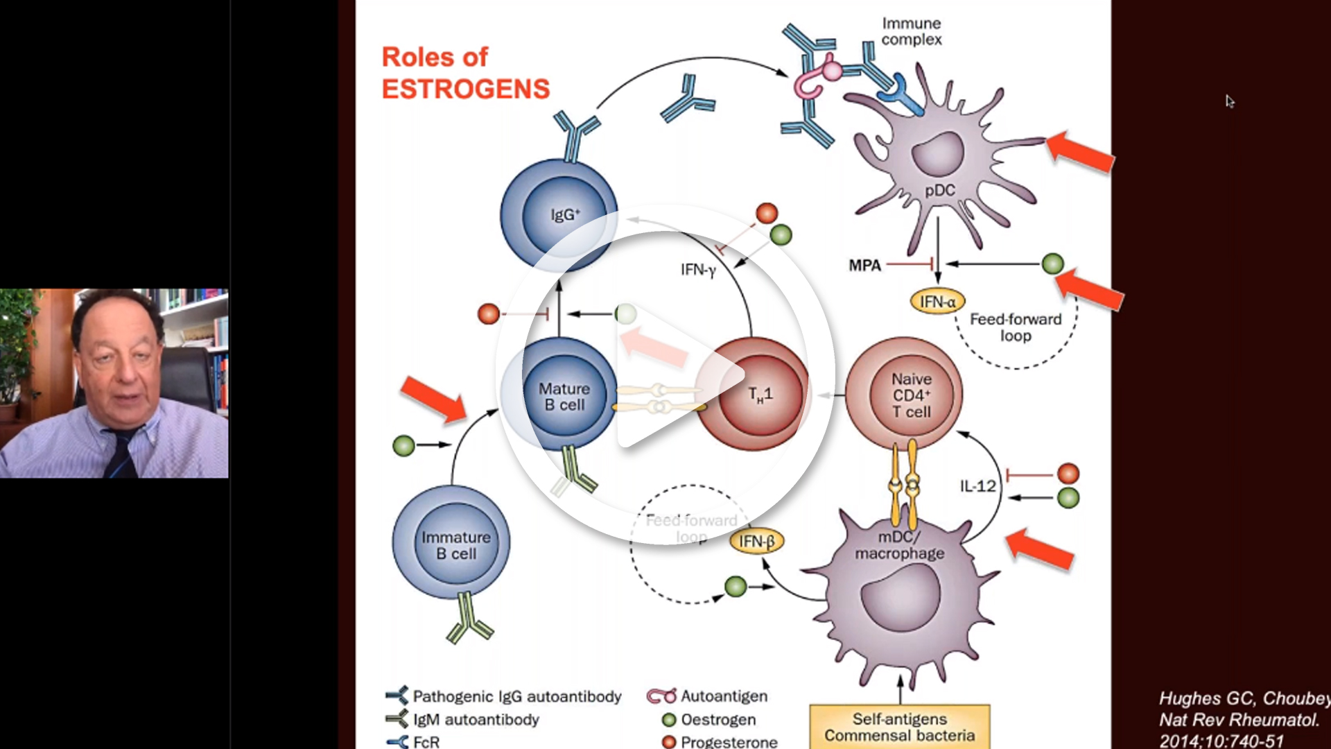 Influenza degli estrogeni nelle malattie reumatiche autoimmuni